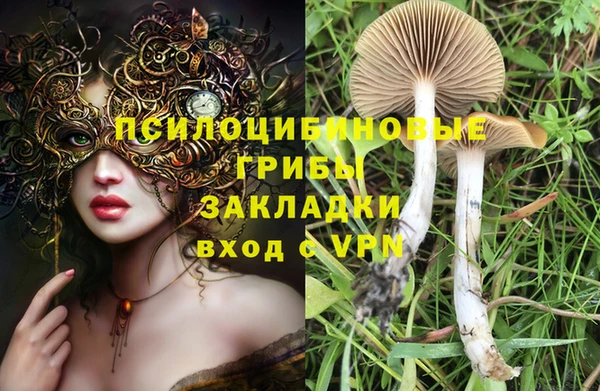 альфа пвп Вяземский
