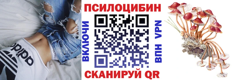 Галлюциногенные грибы MAGIC MUSHROOMS  Жиздра 